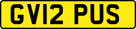 GV12PUS