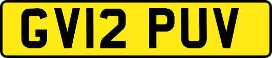 GV12PUV