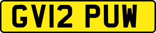GV12PUW