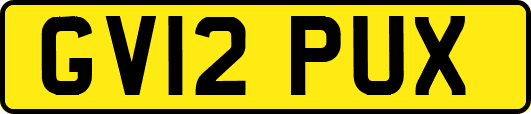 GV12PUX
