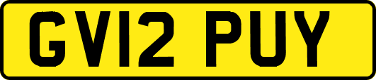 GV12PUY