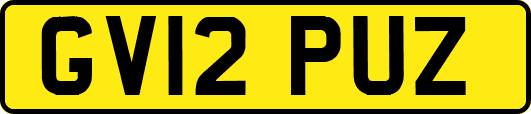 GV12PUZ