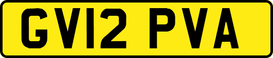 GV12PVA