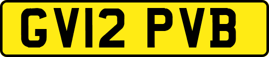 GV12PVB