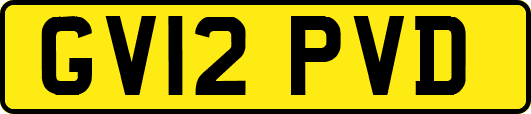 GV12PVD