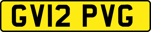 GV12PVG