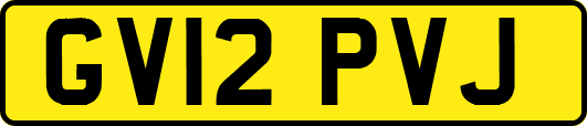 GV12PVJ