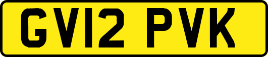 GV12PVK