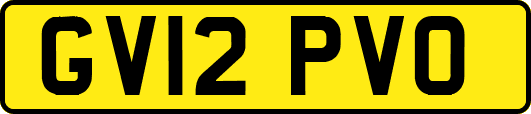 GV12PVO