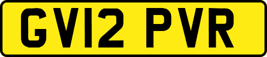 GV12PVR