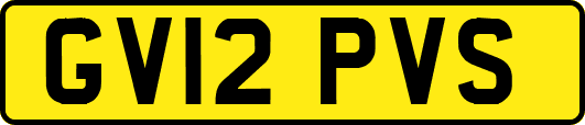 GV12PVS