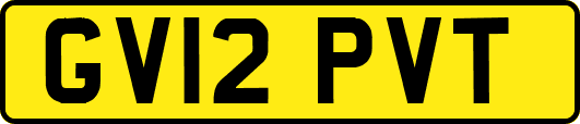 GV12PVT