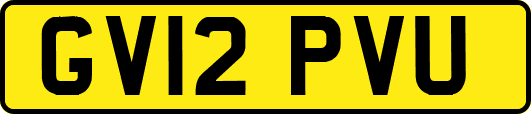 GV12PVU