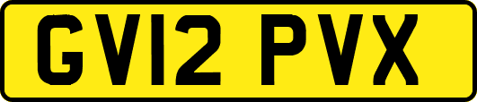 GV12PVX