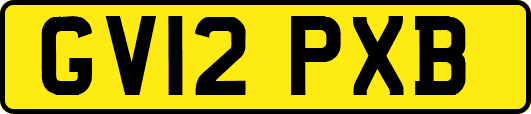 GV12PXB
