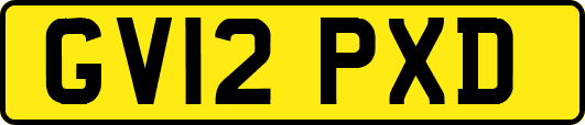 GV12PXD