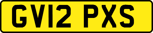 GV12PXS