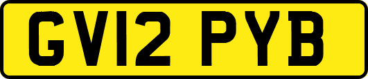GV12PYB