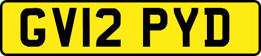 GV12PYD