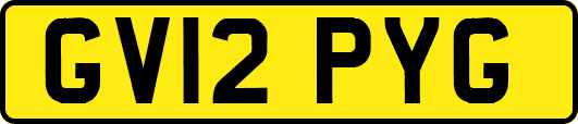 GV12PYG