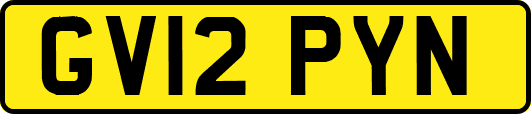 GV12PYN