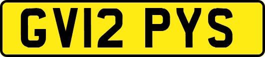 GV12PYS