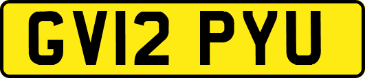 GV12PYU