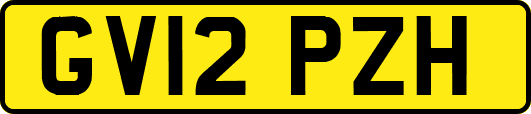 GV12PZH