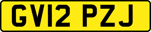 GV12PZJ