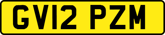 GV12PZM