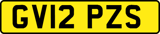 GV12PZS