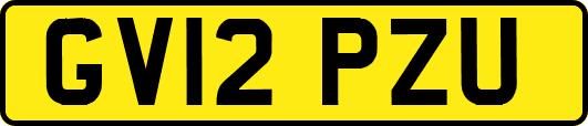 GV12PZU
