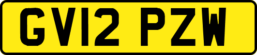 GV12PZW