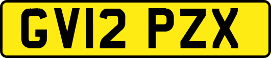 GV12PZX