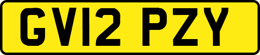 GV12PZY