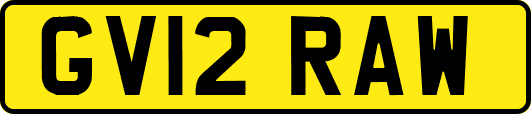 GV12RAW