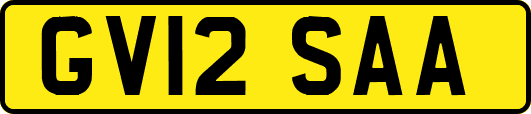 GV12SAA