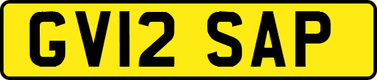 GV12SAP