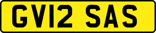 GV12SAS