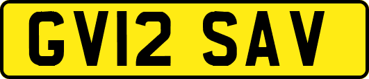 GV12SAV