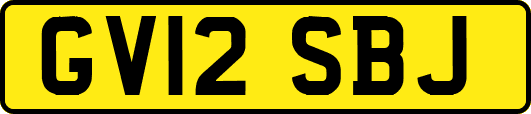GV12SBJ