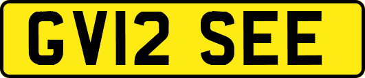 GV12SEE