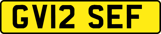 GV12SEF