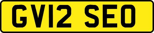 GV12SEO