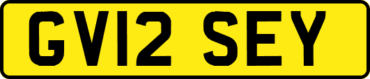 GV12SEY