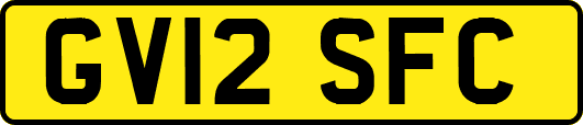 GV12SFC