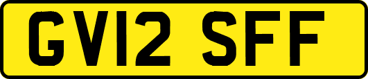 GV12SFF