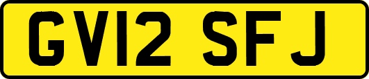 GV12SFJ
