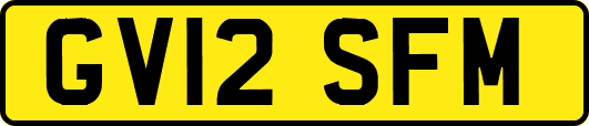GV12SFM