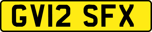 GV12SFX
